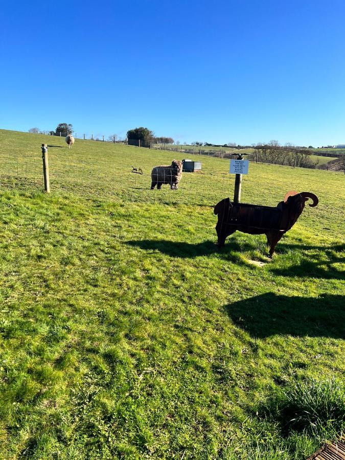 King Richard'S Luxury Lodge - Sleeps Up To 8 ,Dog Friendly ,Near Sherwood Forest At Fairview Farm In Nottingham Set In 88 Acres And Great For Groups,Family Gatherings,Corporate Events 외부 사진